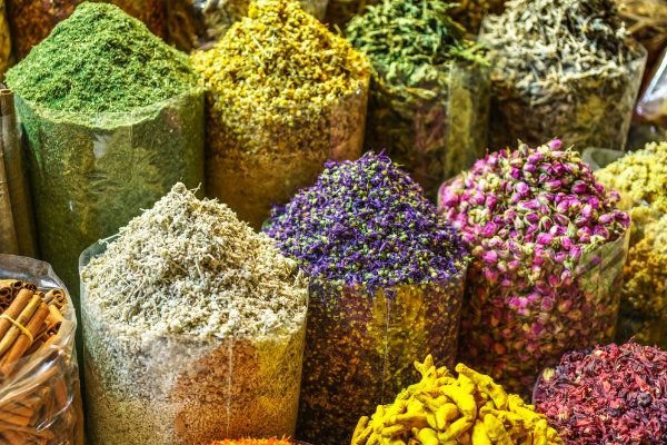 Kräutergenuss das ganze Jahr – so geht’s