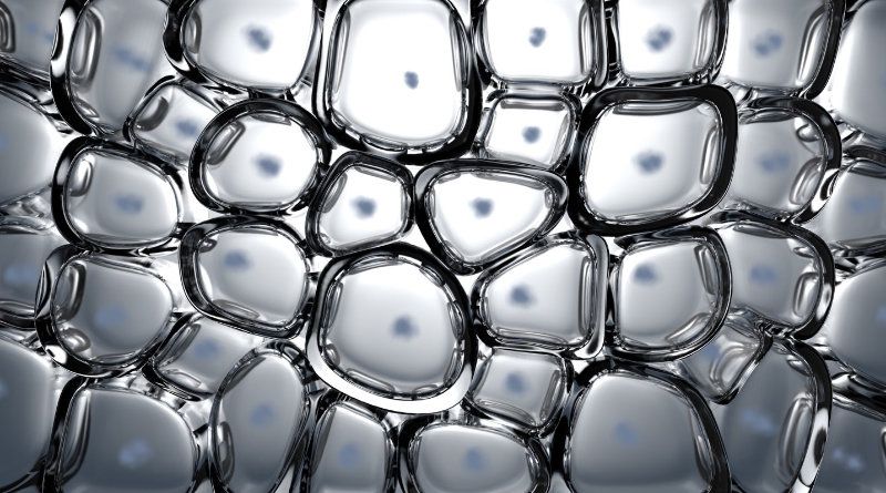 Wasser-Zellen im Mikroskop