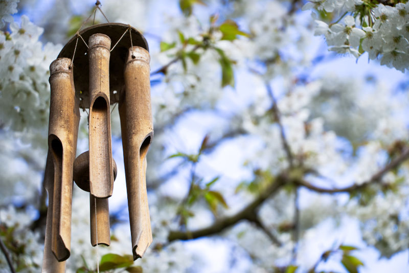 Bamboo-chimes-on-a-cherry-tree-in-garden-936813420_6022x4020 Zbynek Pospisil