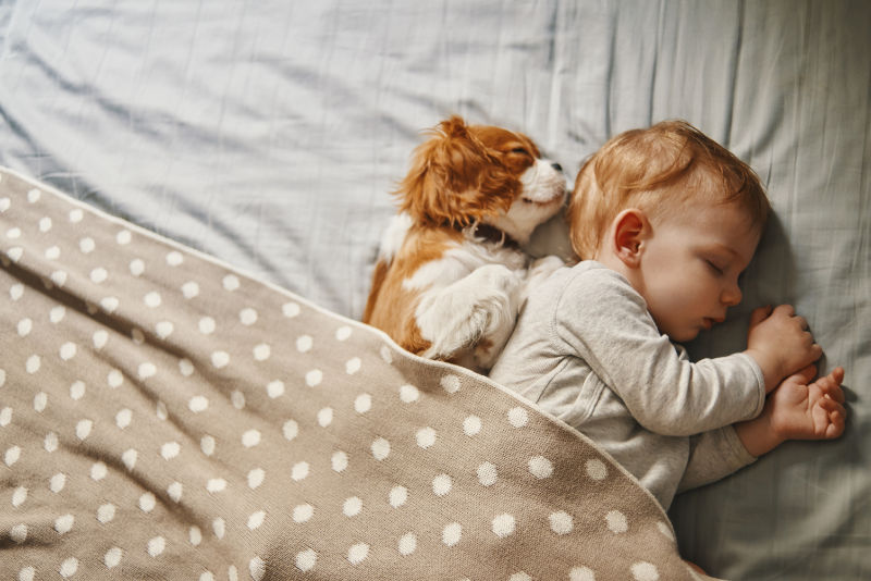 Baby und Hund im Bett