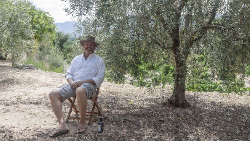 Mann im Olivenhain