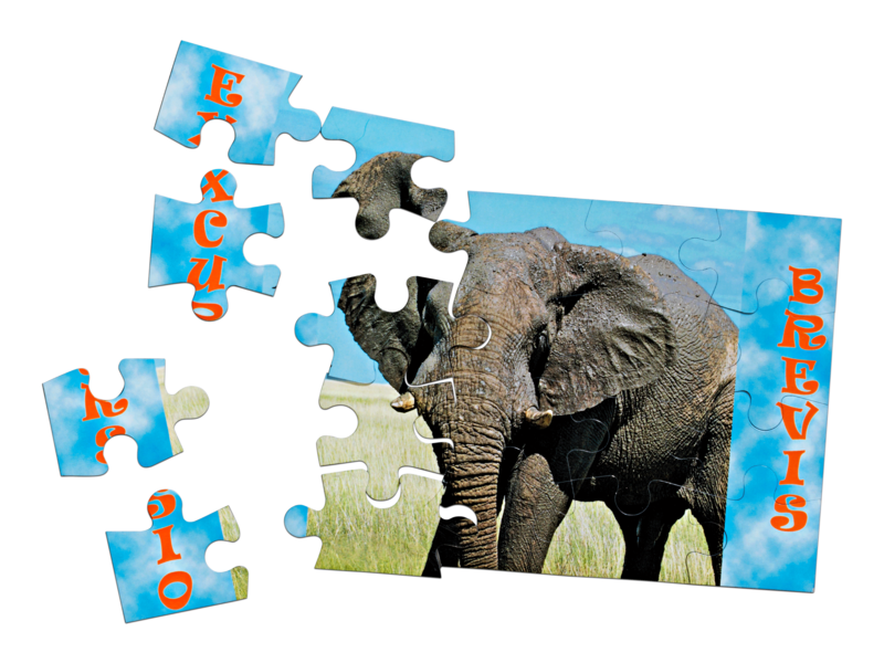 Magnet Puzzle
