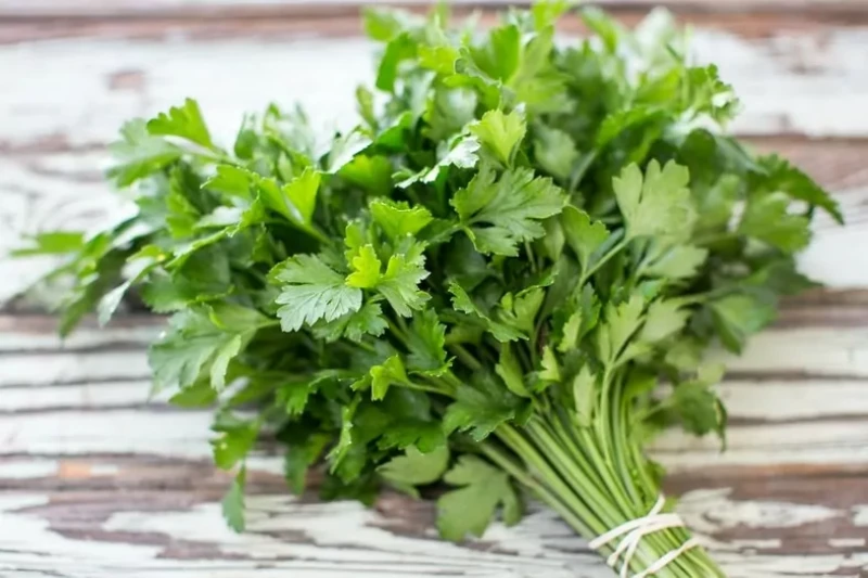 Petersilienstrauß
