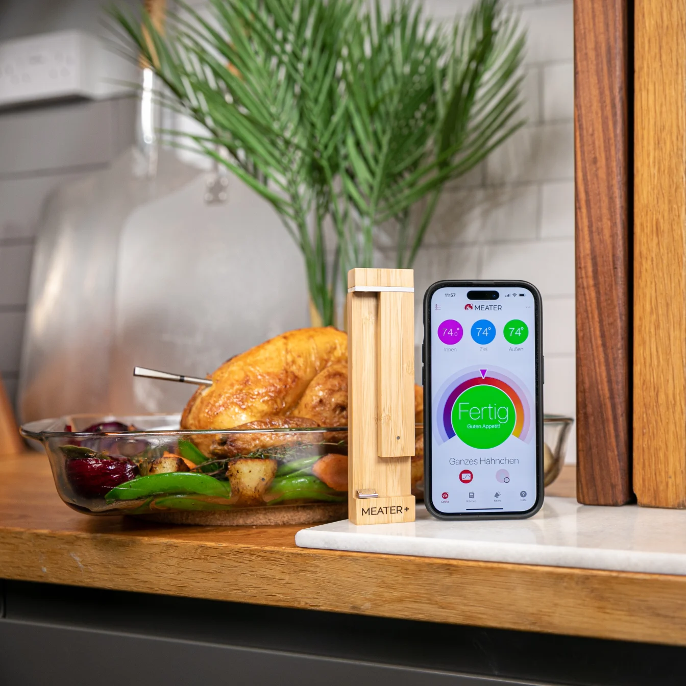 ApptionLab_Meater 2 Plus