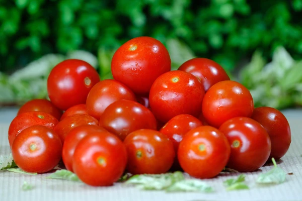 Tomaten